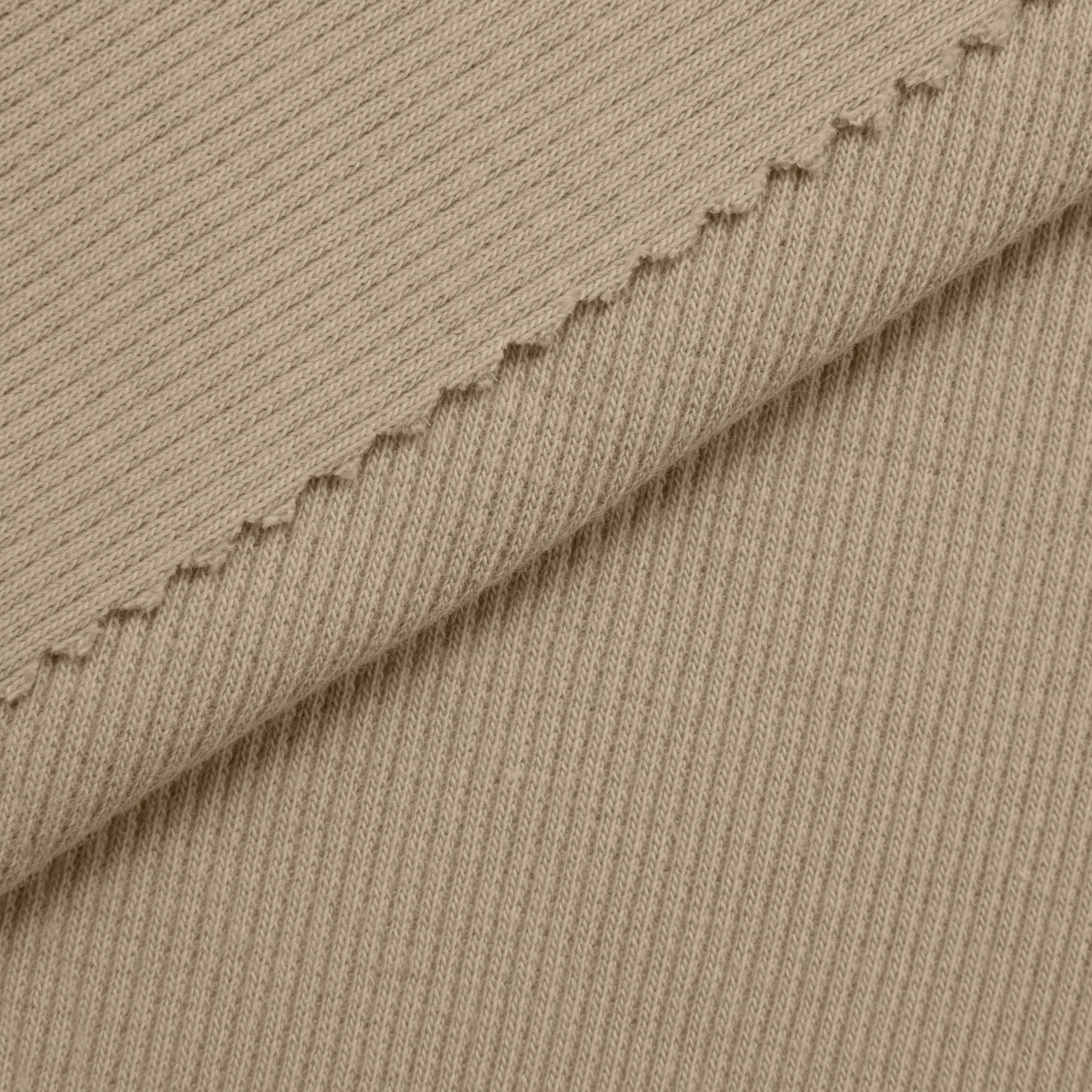 COTTON RIB KNIT FABRIC WITH ELASTANE - LATTE - 220 GSM