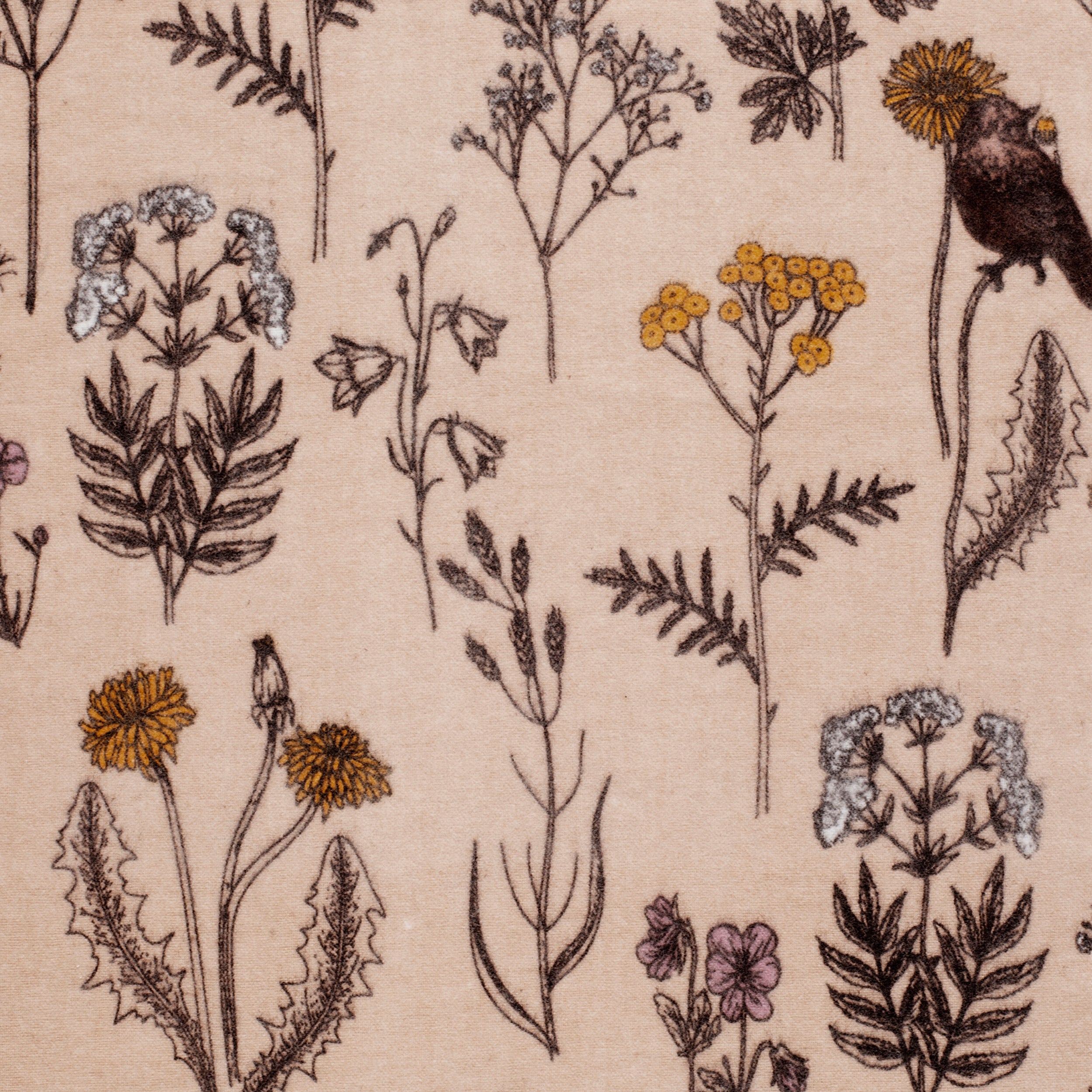 COTTON FLANNEL - PRINTED _ MEADOW BEIGE