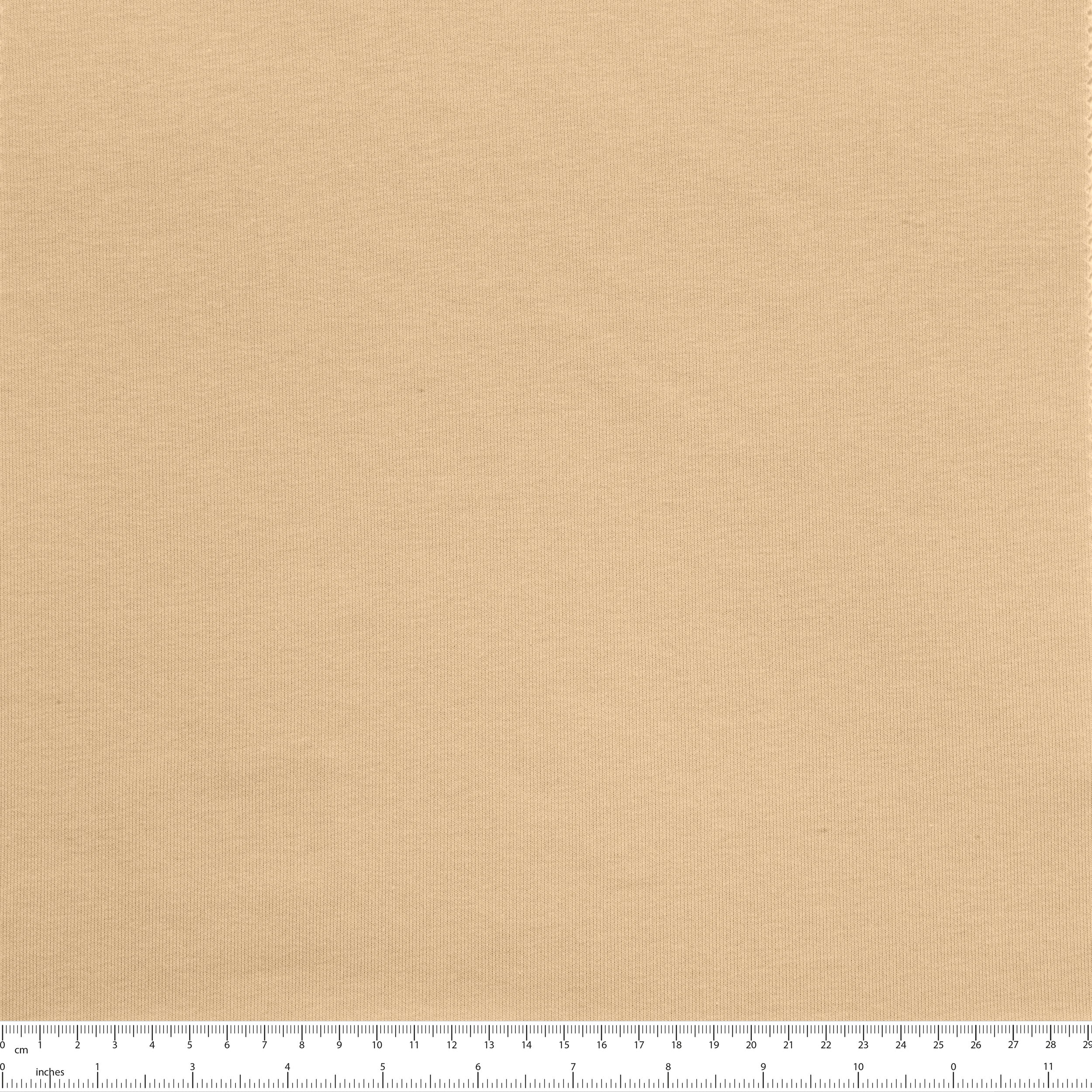 COTTON FRENCH TERRY FABRIC WITH ELASTANE - BEIGE - 320 GSM