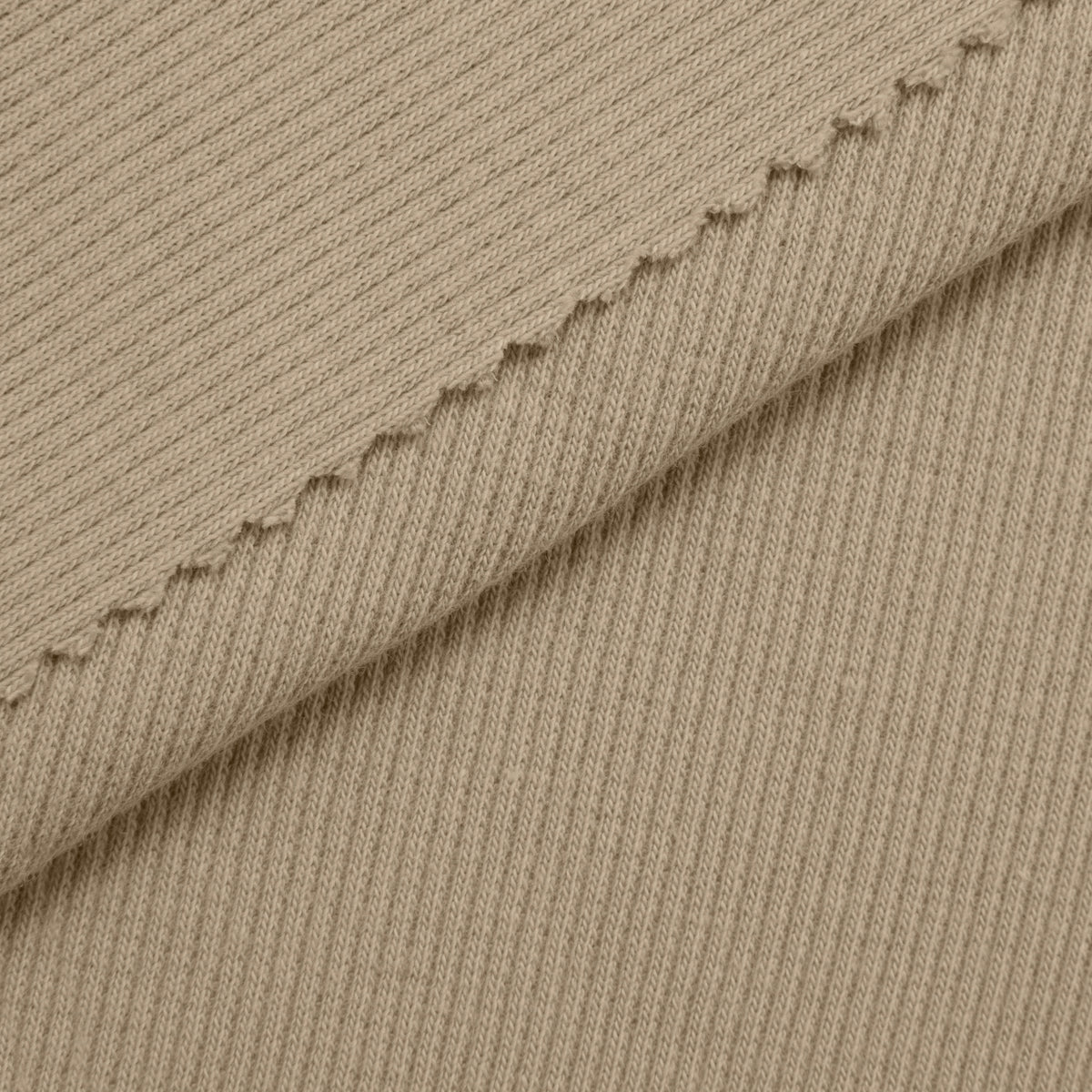 COTTON RIB KNIT FABRIC WITH ELASTANE - LATTE - 220 GSM