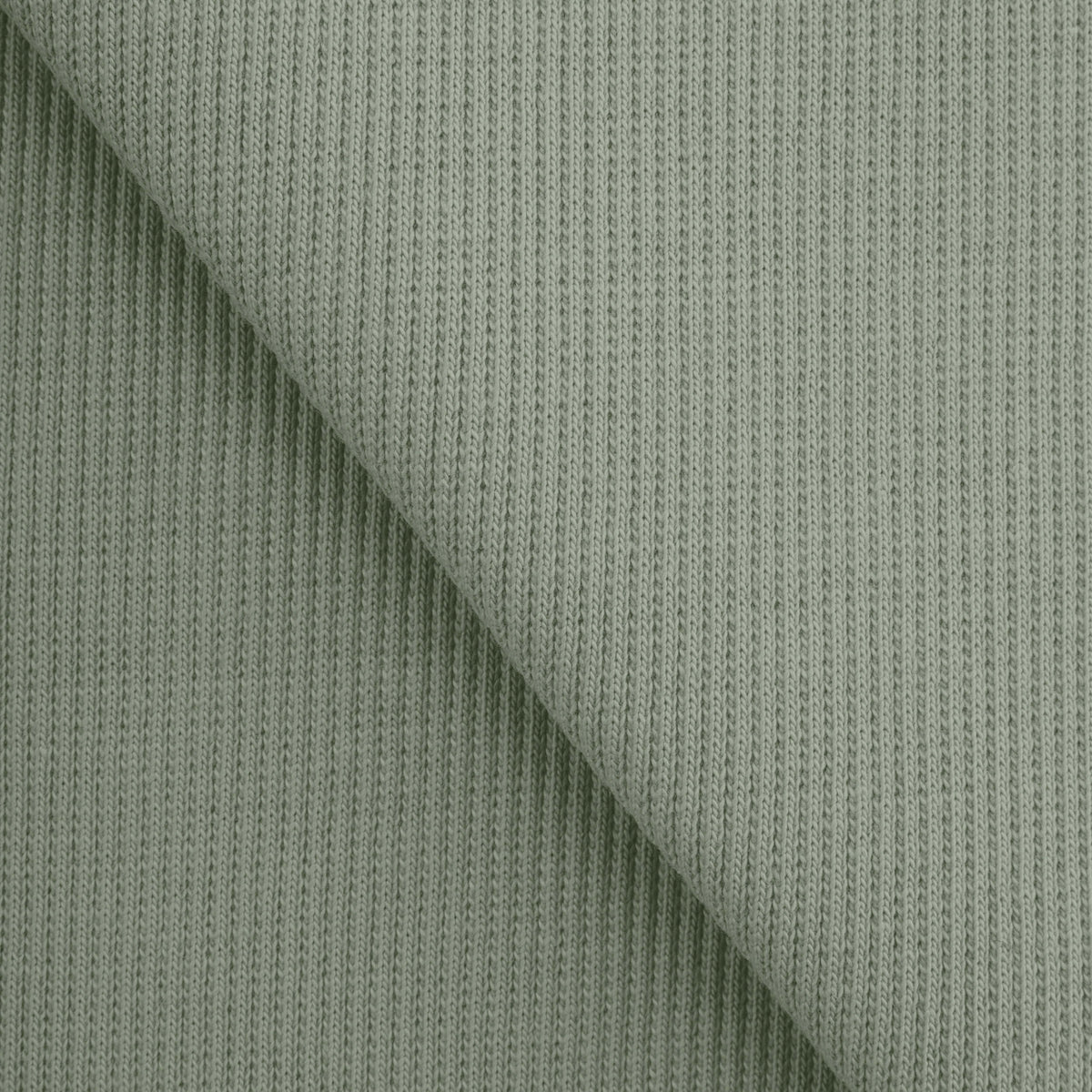 2 X 1 COTTON RIB STRONG - SEAGRASS